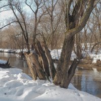 Весенняя Зарисовка :: юрий поляков