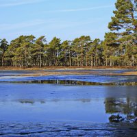 Хороший весенний день.. :: Татьян@ Ивановна