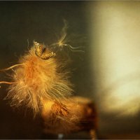 *** :: Oleg Rastorguev *** :: Oleg Rastorguev