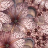 ЦВЕТЫ :: МАРИЯ ПОПОВА