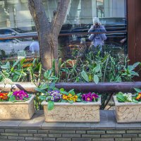 Интерьер :: Варвара 