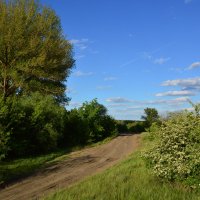 Мои дороги. :: Виктор 