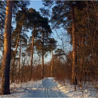 Вечер в Заречном парке :: Валентин Котляров Вечер в Заречном парке :: Валентин Котляров