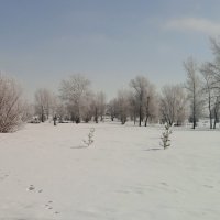 март :: Елена Шаламова март :: Елена Шаламова