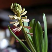 Доброе утро! :: ZNatasha -