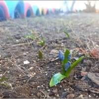 Первые :: Сеня Белгородский Первые :: Сеня Белгородский