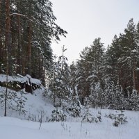 Буераки. :: ВикТор Быстров