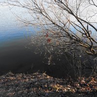 Вот и ВЕСНА :: Виктор Никитенко Вот и ВЕСНА :: Виктор Никитенко