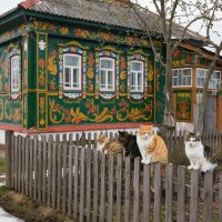 МАРТОВСКИЕ КОТЫ :: СЕРГЕЙ ФИЛОЧКИН