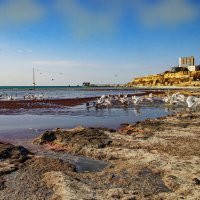 Каспий :: Анатолий Чикчирный