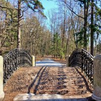 Даже в лесной зоне снега почти нет! :: Лия ☼