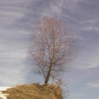 Ожидание весны :: fogmeadowww m