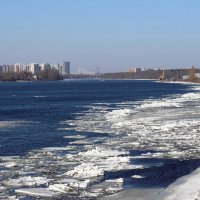 Нева (вид на Рыбацкое) :: Александр Алексеенко