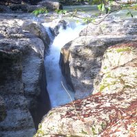 Начало каньона :: Мишель71 