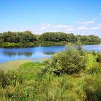 Ока :: Валерий Судачок