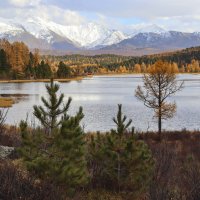 Озера Горного Алтая :: елена беликова