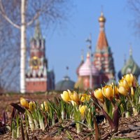 Зарядье 15 марта :: Михаил Бибичков