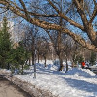Весенний Денёк :: юрий поляков