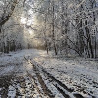 А был и солнечный ноябрь.. :: Игорь Ч. А был и солнечный ноябрь.. :: Игорь Ч.