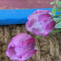 Необыкновенные! :: Pippa 