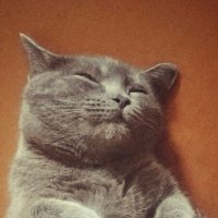 *** :: Шу Юншен *** :: Шу Юншен