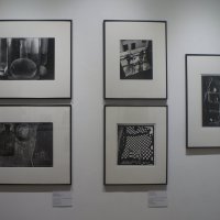 выставка "Жизнь вещей" :: zavitok * выставка "Жизнь вещей" :: zavitok *