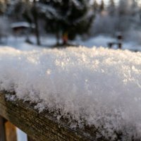 Снежная фактура :: Лилия Снежная фактура :: Лилия