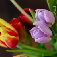 *** :: Виктор Иванович Чернюк