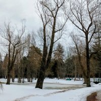 Прогулка в Нарва-Йыэсу :: Veera V