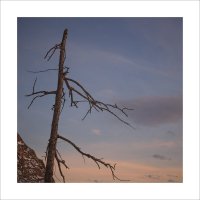 * :: Александр Иванов