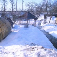 Мой мартовский сад :: Людмила Смородинская Мой мартовский сад :: Людмила Смородинская