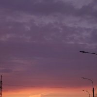 Почти розовое :: Андрей 