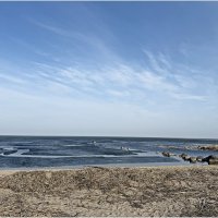 Весна на Калининградском заливе. :: Валерия Комова Весна на Калининградском заливе. :: Валерия Комова