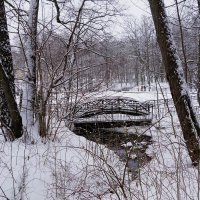 Зимний лесопарк, Светлогорск :: Рита Симонова