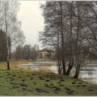 Проснулись кроты... :: Aleksandr Gal