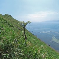 Поднятие на мыс Евстафия :: ИРЭН@ .