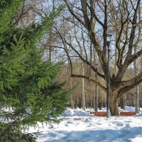 ***** :: юрий поляков