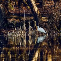 Prud :: Jakob Dick Prud :: Jakob Dick