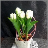 К нам пришла весна :: Ольга Довженко К нам пришла весна :: Ольга Довженко