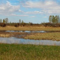 Весенние воды. :: nadyasilyuk Вознюк Весенние воды. :: nadyasilyuk Вознюк