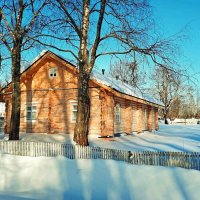 Среди берёз. :: веселов михаил 