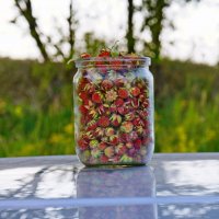 Ягоды от лета. :: сергей ермошкин Ягоды от лета. :: сергей ермошкин