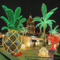 Новогодние ананасы Москвы. :: Евгений Седов