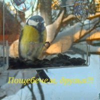 Пощебечем, друзья! :: veilins veilins Пощебечем, друзья! :: veilins veilins