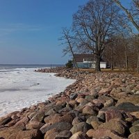 Весенний прибалтийский колор.. :: Татьян@ Ивановна