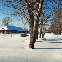 На аллее. :: веселов михаил 