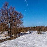 Середина Марта 3 :: Андрей Дворников