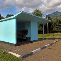 Поселковое такси :: Valziwa 