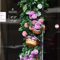 почему бы нет... :: Savayr 