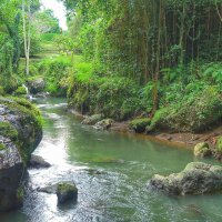 На горной речке :: svk *